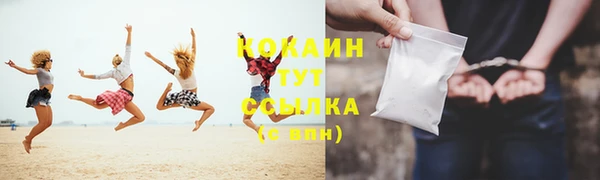 крисы Вязники