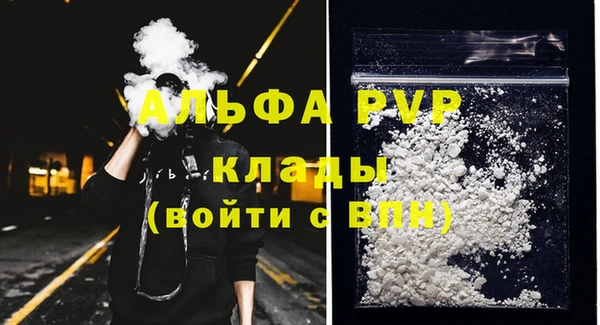 спайс Вяземский