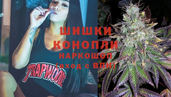 спайс Вяземский