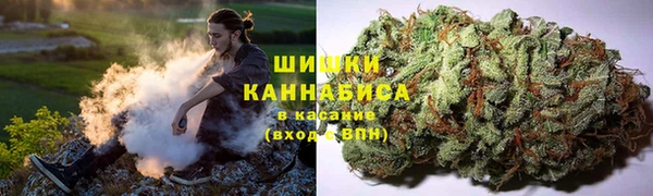 apvp Вязьма