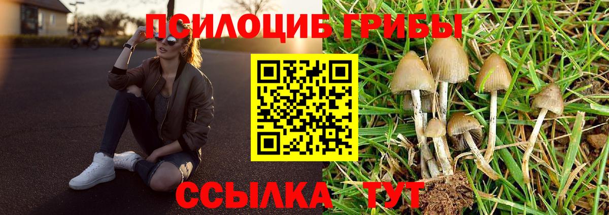Томск  Галлюциногенные грибы мицелий  Вход с VPN 